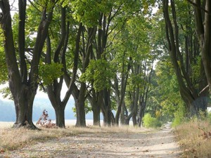 A tu już plan kolejnej Kromki, jeszcze w fazie produkcji...